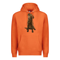 Carrot chesapeake bay retriever Premium Hoodie - LillyAllenDesigns