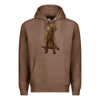 Chestnut chesapeake bay retriever Premium Hoodie - LillyAllenDesigns