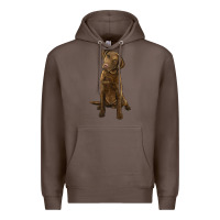 Coffee chesapeake bay retriever Premium Hoodie - LillyAllenDesigns
