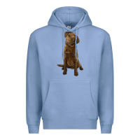 Colony Blue chesapeake bay retriever Premium Hoodie - LillyAllenDesigns