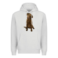 Dove Grey chesapeake bay retriever Premium Hoodie - LillyAllenDesigns