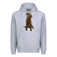Heather Grey chesapeake bay retriever Premium Hoodie - LillyAllenDesigns