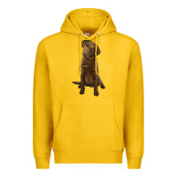 Lemon chesapeake bay retriever Premium Hoodie - LillyAllenDesigns