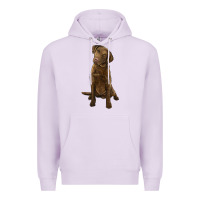 Lilac chesapeake bay retriever Premium Hoodie - LillyAllenDesigns