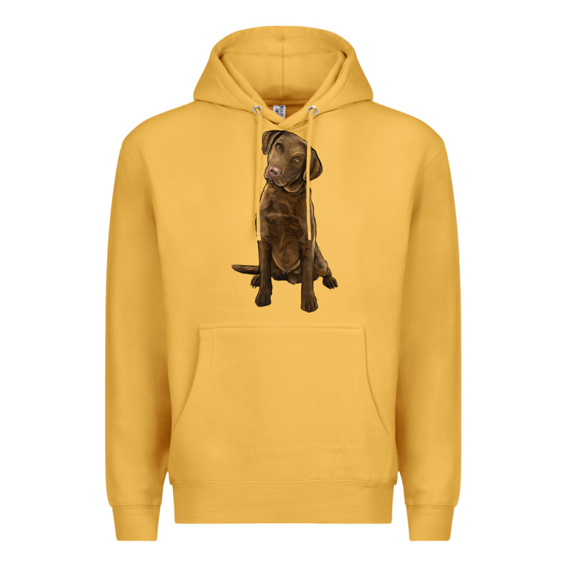 Chesapeake Bay Retriever Premium Hoodie by LillyAllenDesigns | Teevron