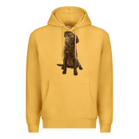 Mustard chesapeake bay retriever Premium Hoodie - LillyAllenDesigns