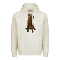 Oatmeal Heather chesapeake bay retriever Premium Hoodie - LillyAllenDesigns