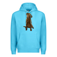 Ocean Blue chesapeake bay retriever Premium Hoodie - LillyAllenDesigns