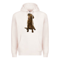 Pale Pink chesapeake bay retriever Premium Hoodie - LillyAllenDesigns