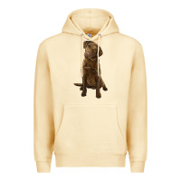 Pina Colada chesapeake bay retriever Premium Hoodie - LillyAllenDesigns