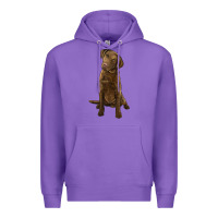 Purple chesapeake bay retriever Premium Hoodie - LillyAllenDesigns