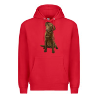 Red chesapeake bay retriever Premium Hoodie - LillyAllenDesigns