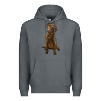 Rock chesapeake bay retriever Premium Hoodie - LillyAllenDesigns
