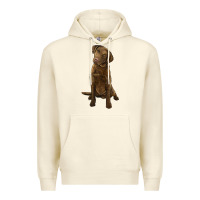 Sandshell chesapeake bay retriever Premium Hoodie - LillyAllenDesigns