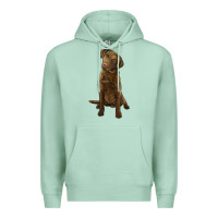 Seafoam chesapeake bay retriever Premium Hoodie - LillyAllenDesigns