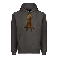 Smoke chesapeake bay retriever Premium Hoodie - LillyAllenDesigns