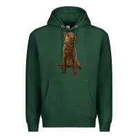 Sports Green chesapeake bay retriever Premium Hoodie - LillyAllenDesigns