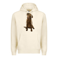 Tofu chesapeake bay retriever Premium Hoodie - LillyAllenDesigns
