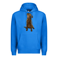 True Royal chesapeake bay retriever Premium Hoodie - LillyAllenDesigns