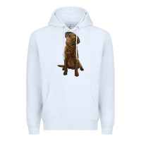 White chesapeake bay retriever Premium Hoodie - LillyAllenDesigns