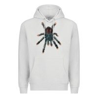 Dove Grey Pink Toe Tarantula Premium Hoodie - LillyAllenDesigns