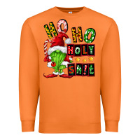 Carrot ho ho holy shit Premium Sweatshirt - FaDigitalArtStudio
