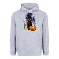 Heather Grey Halloween Cat and Pumpkin Heavyweight Hoodie - texasbilliewilder