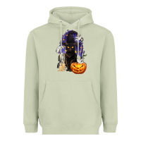 Matcha Halloween Cat and Pumpkin Heavyweight Hoodie - texasbilliewilder
