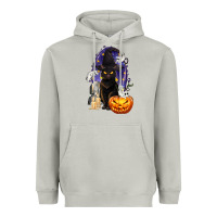 Moon Dust Halloween Cat and Pumpkin Heavyweight Hoodie - texasbilliewilder