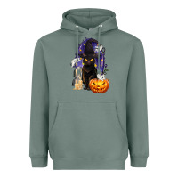 Sage Halloween Cat and Pumpkin Heavyweight Hoodie - texasbilliewilder