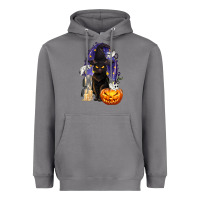 Storm Halloween Cat and Pumpkin Heavyweight Hoodie - texasbilliewilder