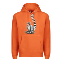 Carrot Ringtail Cat Premium Hoodie - LillyAllenDesigns