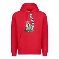 Red Ringtail Cat Premium Hoodie - LillyAllenDesigns