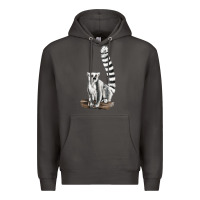 Smoke Ringtail Cat Premium Hoodie - LillyAllenDesigns