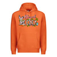 Carrot blessed mini easter Premium Hoodie - BarkalooDesign