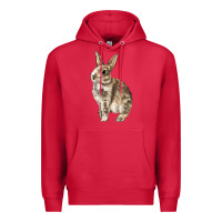Cardinal Rabbit Premium Hoodie - LillyAllenDesigns