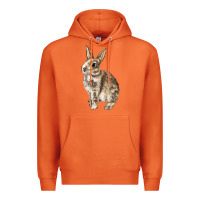 Carrot Rabbit Premium Hoodie - LillyAllenDesigns