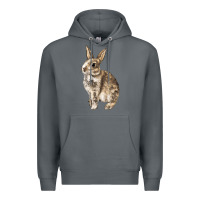 Rock Rabbit Premium Hoodie - LillyAllenDesigns