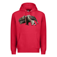 Cardinal anteaters Premium Hoodie - LillyAllenDesigns