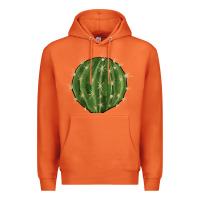 Carrot cactus Premium Hoodie - BarkalooDesign