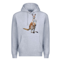 Heather Grey kangaroo Premium Hoodie - LillyAllenDesigns