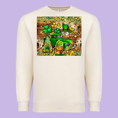 St. Patrick's Day Gnomies Truck Tumbler Premium Sweatshirt Designed By Neo Western