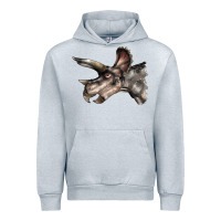 Heather Grey Triceratops Horridus Face Urban Hoodie - LillyAllenDesigns