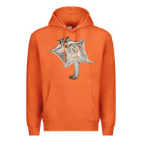 Carrot sugar glider Premium Hoodie - LillyAllenDesigns