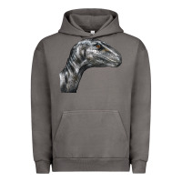 Pigment Tornado Velociraptor Face Urban Hoodie - LillyAllenDesigns