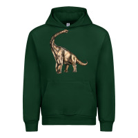 Forest Green Brachiosaurus Urban Hoodie - LillyAllenDesigns