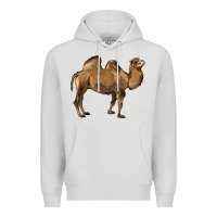 Dove Grey Camel Premium Hoodie - LillyAllenDesigns