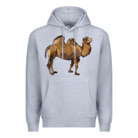 Heather Grey Camel Premium Hoodie - LillyAllenDesigns