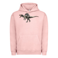 Pigment Salmon Spinosaurus Urban Hoodie - LillyAllenDesigns