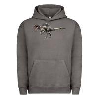 Pigment Tornado Spinosaurus Urban Hoodie - LillyAllenDesigns